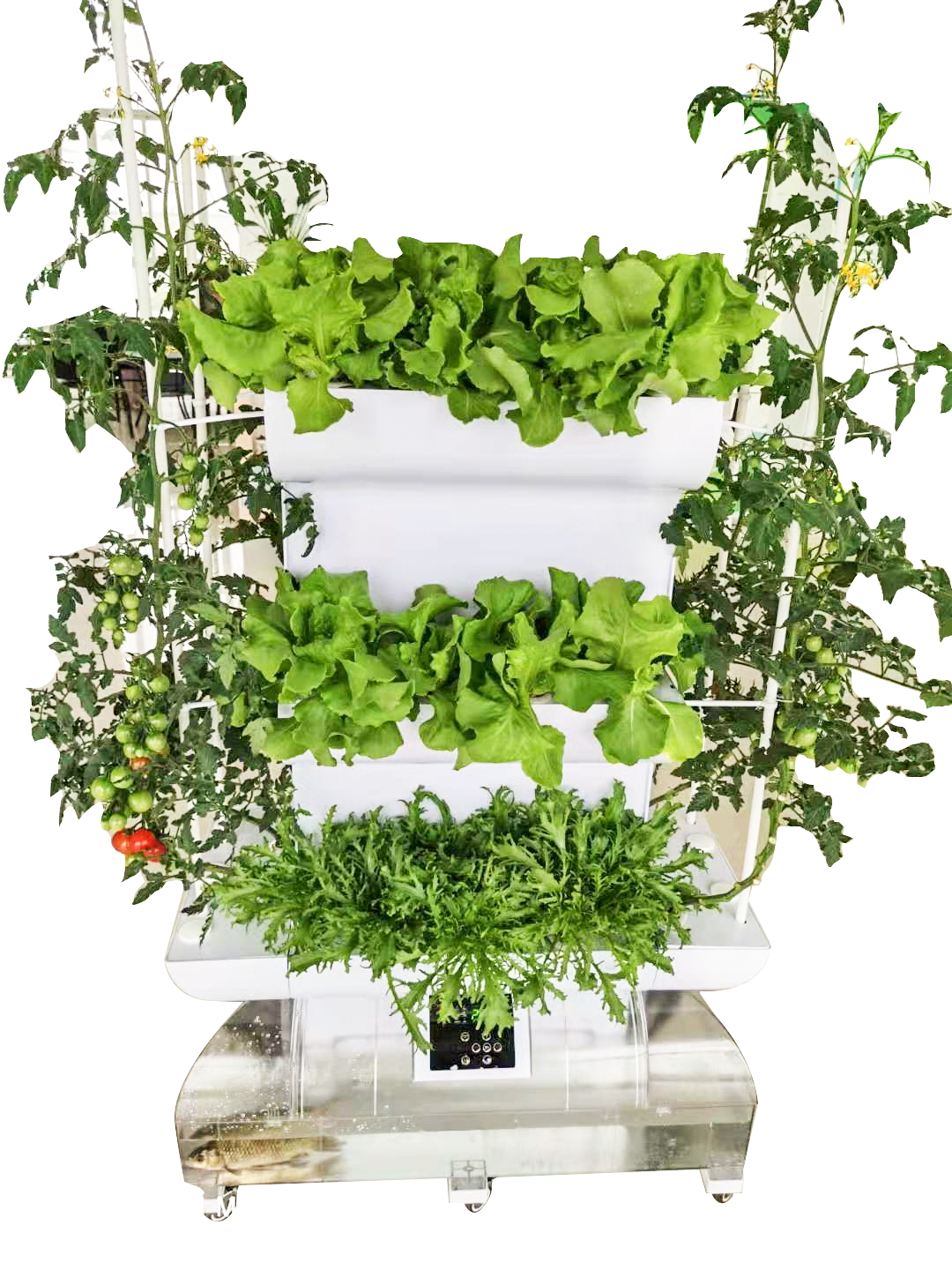 陽臺蔬菜種植機(jī)